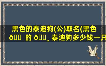 黑色的泰迪狗(公)取名(黑色 🐠 的 🕸 泰迪狗多少钱一只)